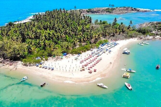 Vista aérea da Ilha de Santo Aleixo com barracas coloridas na praia
